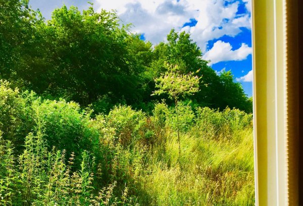 Wohnmobilstellplatz Nordkirchen — Photo 4