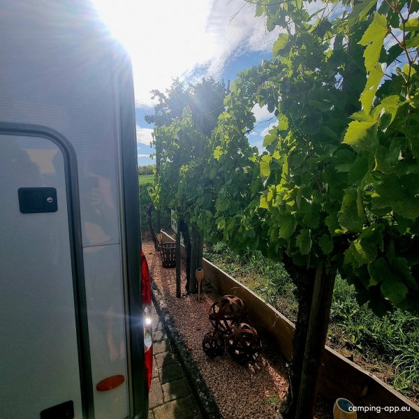 Weingut Brunnenhof — Photo 2