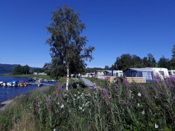 Marienborg Camping — Photo 2