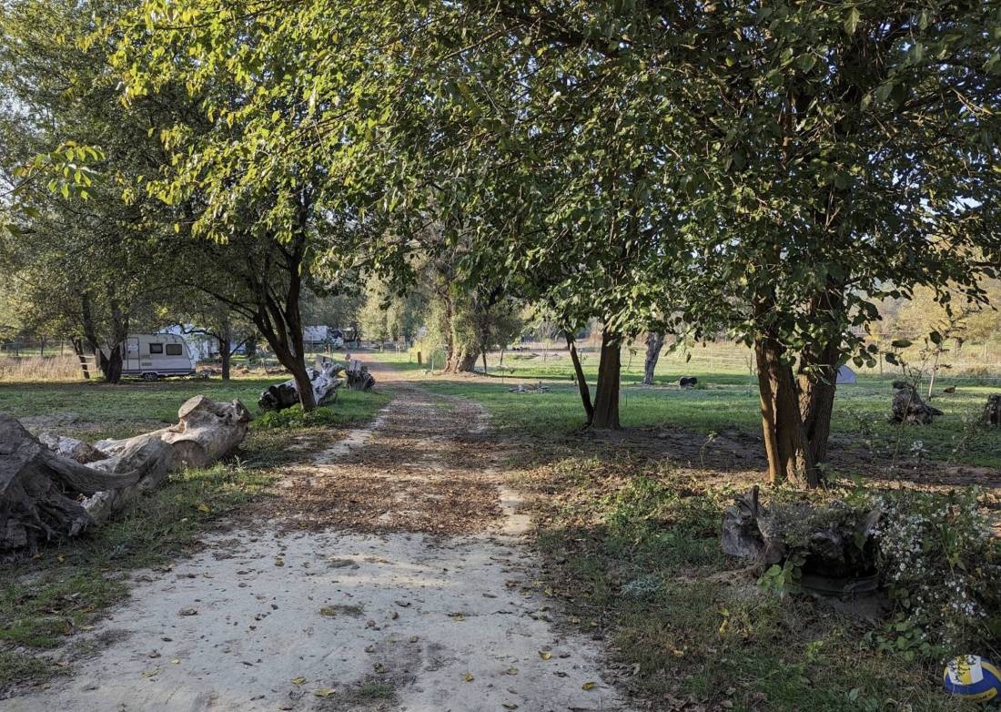 Nomád Bár — Kamp yeri in Nagymaros