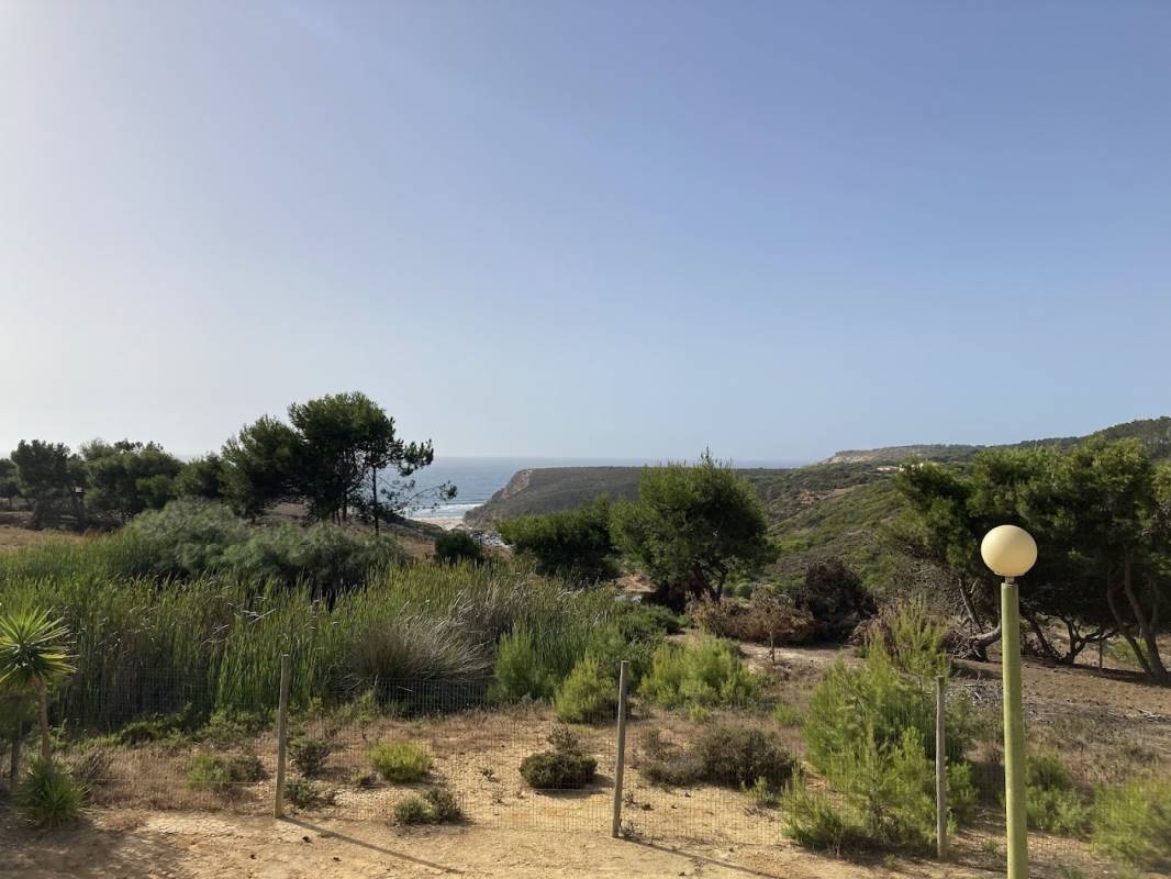 Monte Carvalhal da Rocha — Kemp in Odemira