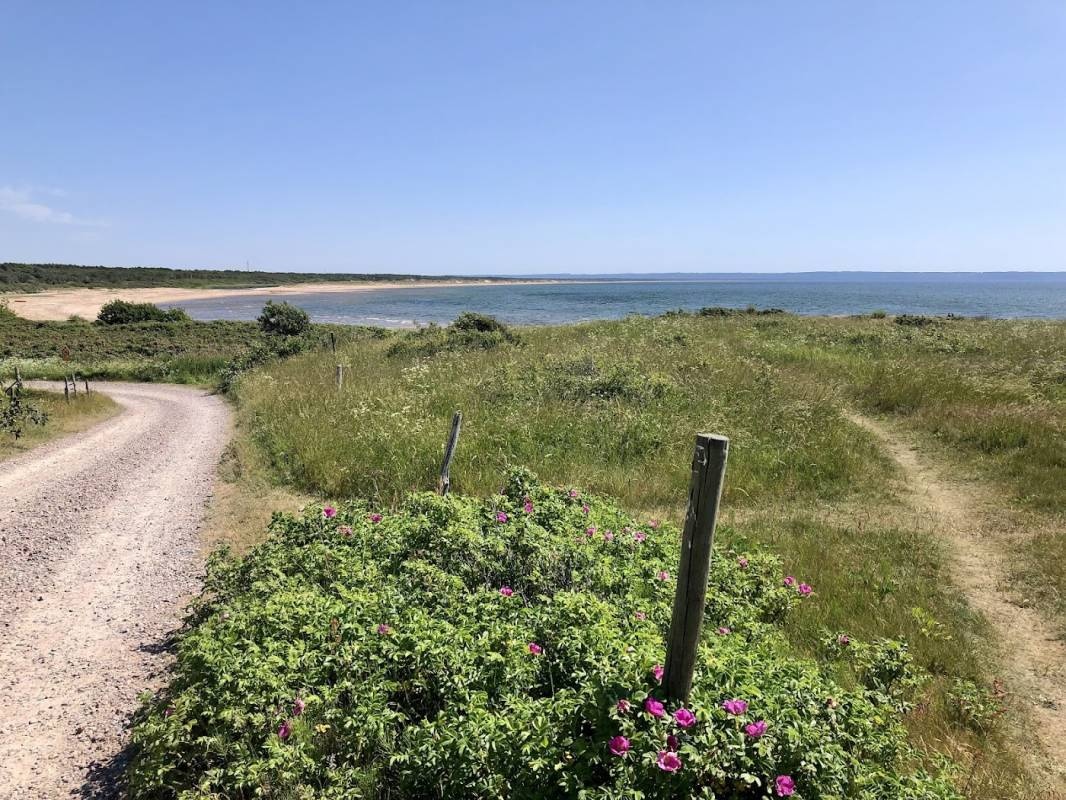 Laxvik Camping — Cámping in Halmstad