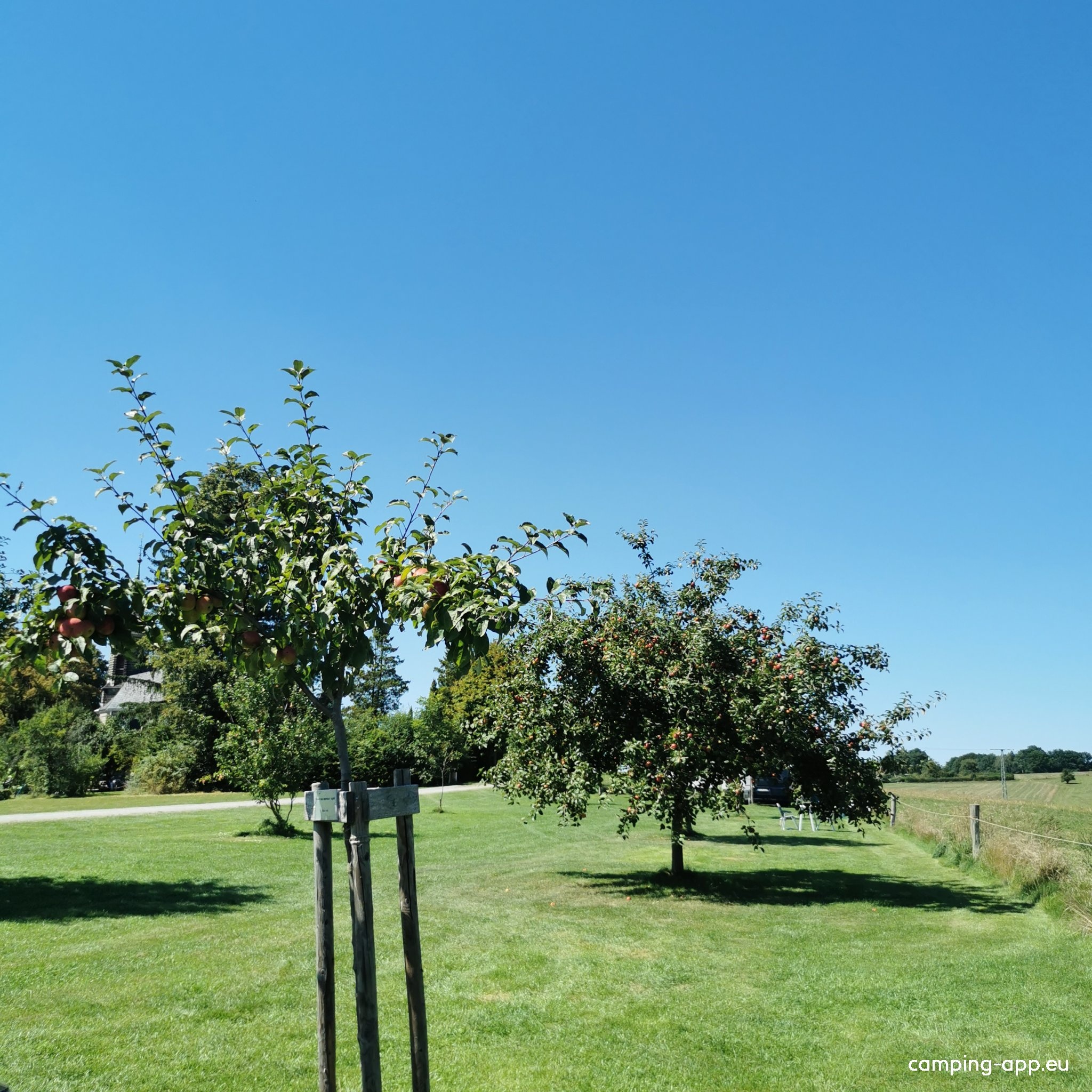 Aktivhof Säsische Schweiz — Campingplass in Bad Schandau