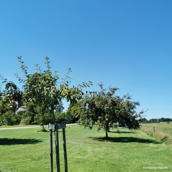 Aktivhof Säsische Schweiz — Fotoğraf 3