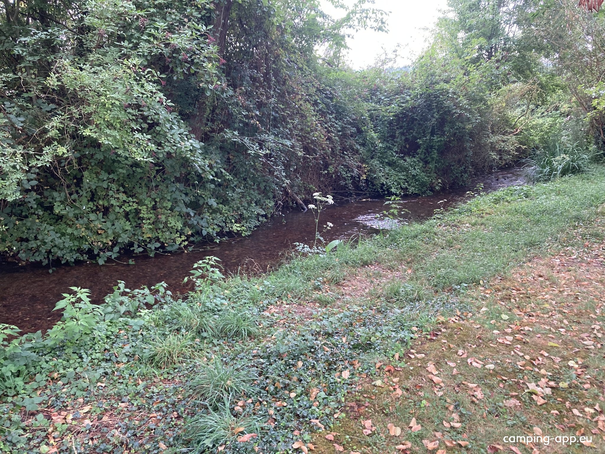 Camping de Étangs de Marsalin — Camping in Vert-en-Drouais
