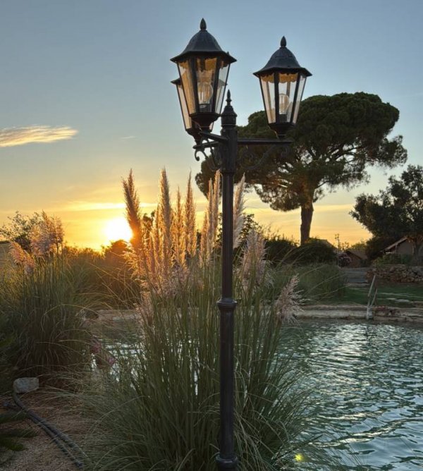 Oasis SurfCamp — Photo 2