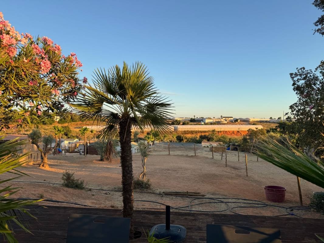 Oasis SurfCamp — Kemp in Formoso Quinta dos Pinheiros