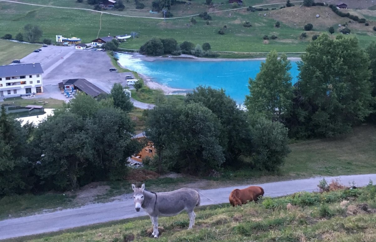 Stellplatz an der Sesselbahn Breil/Brigels — Area di sosta in  Breil