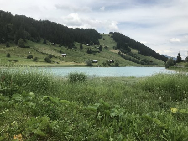 Stellplatz an der Sesselbahn Breil/Brigels — Photo 3