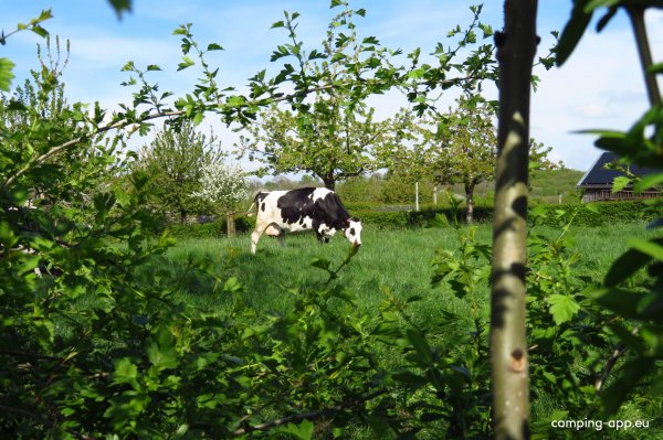 Landgoed Moerslag — Photo 4