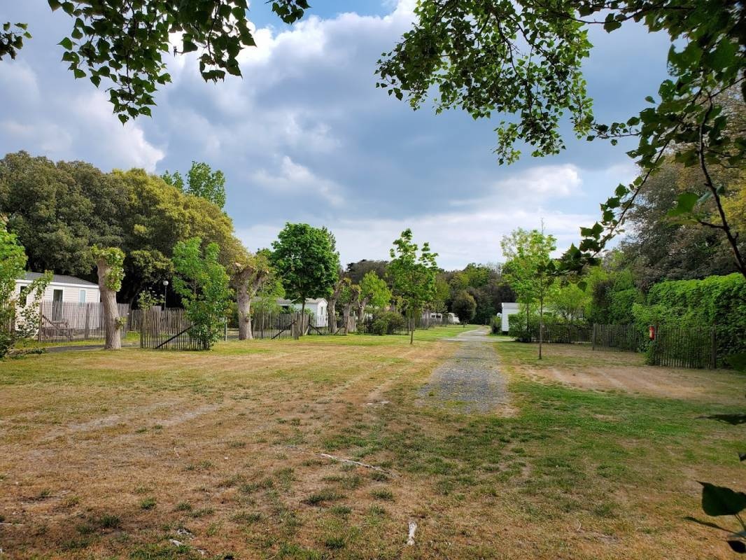 Camping Le Bois Henri IV — Campingplass in La Couarde-sur-Mer