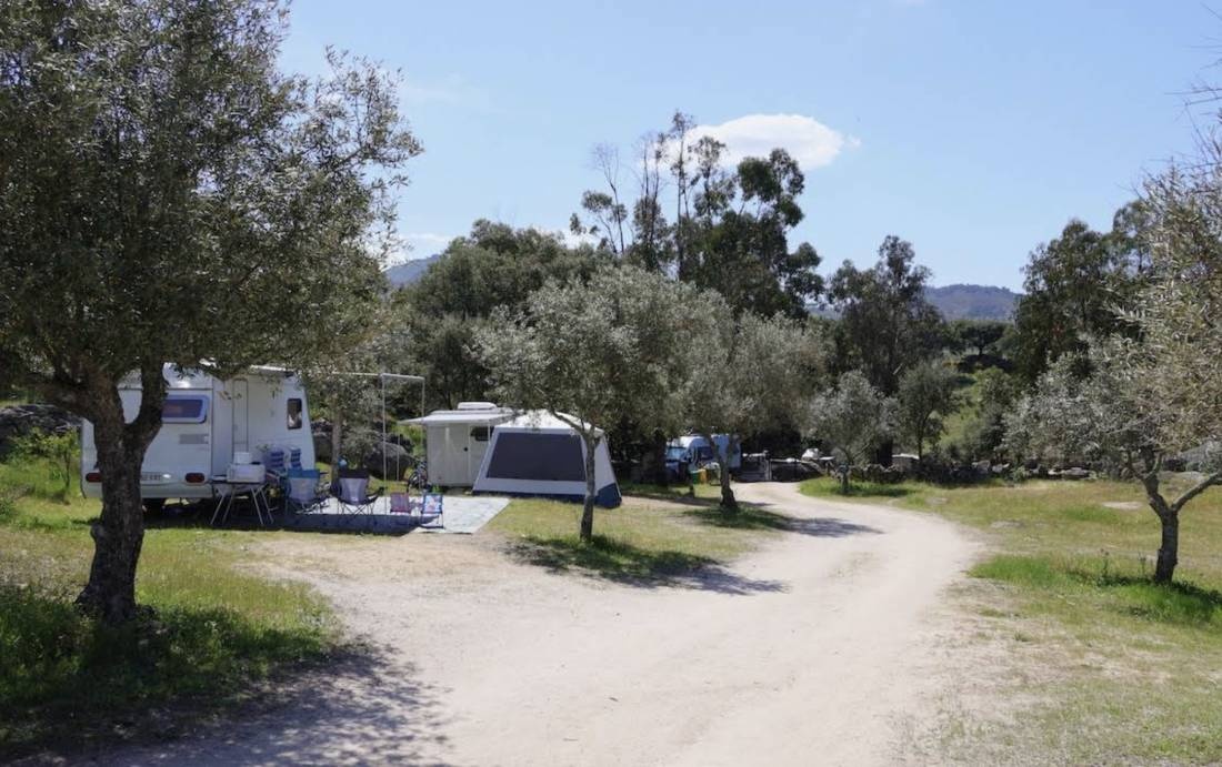 Campscape Beira Marvao Alentejo (16+) — Kamp yeri in Beirã-Marvão