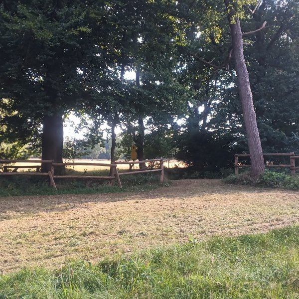 Naturidylle Barker Heide/Segeberger Forst