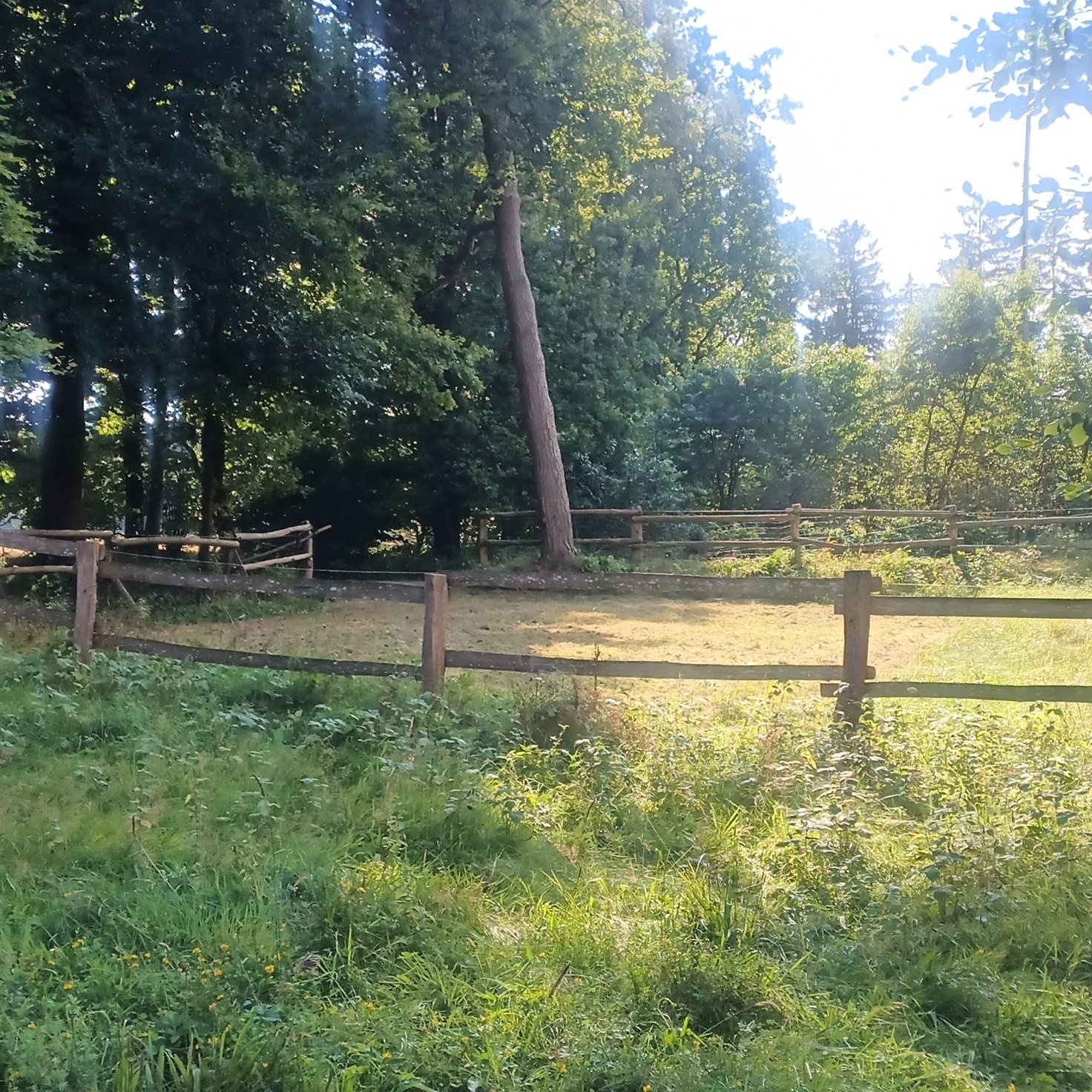 Naturidylle Barker Heide/Segeberger Forst — Area di sosta in Bark