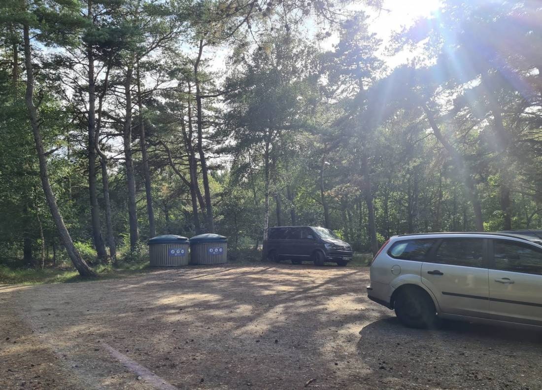 Hundeskoven Vråby (Hundewald) — Public Parking in Rømø