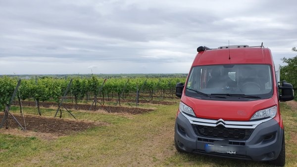Weingut Henninger Kallstadt — Winery in Kallstadt