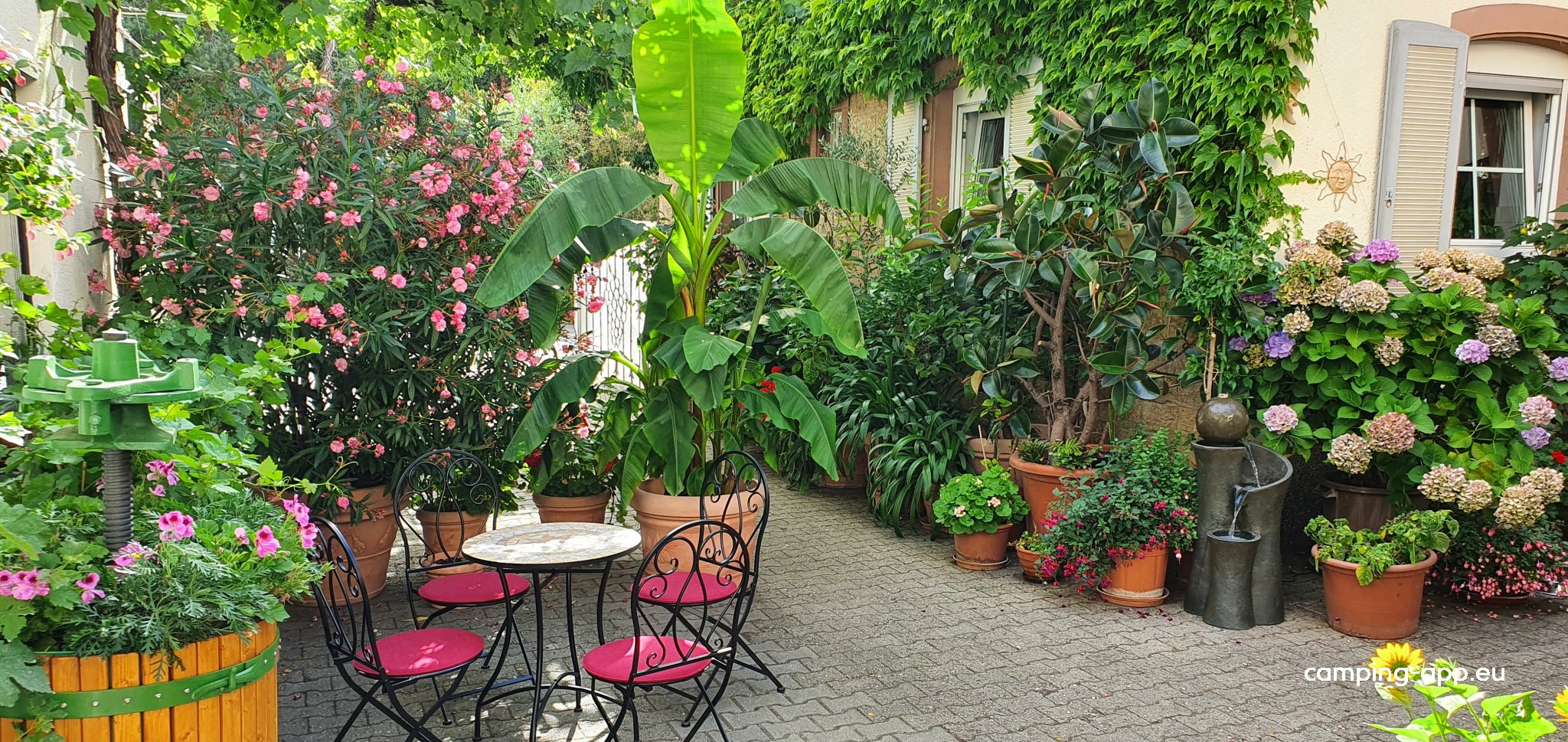 Weingut Henninger Kallstadt — Fotoğraf 4