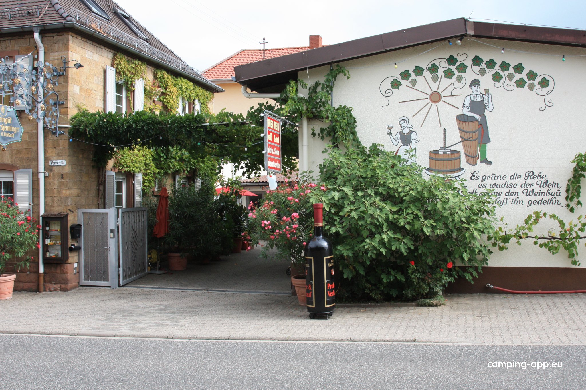 Weingut Henninger Kallstadt — Fotoğraf 3