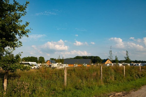 Gut Damp Dorotheenpark — Photo 3