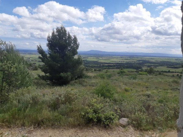 Le Mas de Lignieres (naturist, FKK) — Photo 2