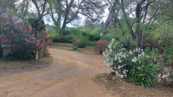 Le Mas de Lignieres (naturist, FKK) — Photo 3