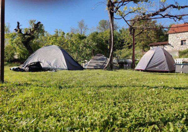 Camp Lekovac — Photo 3