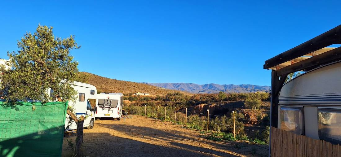 PRE Pferde Andalusier — On private ground in Tabernas