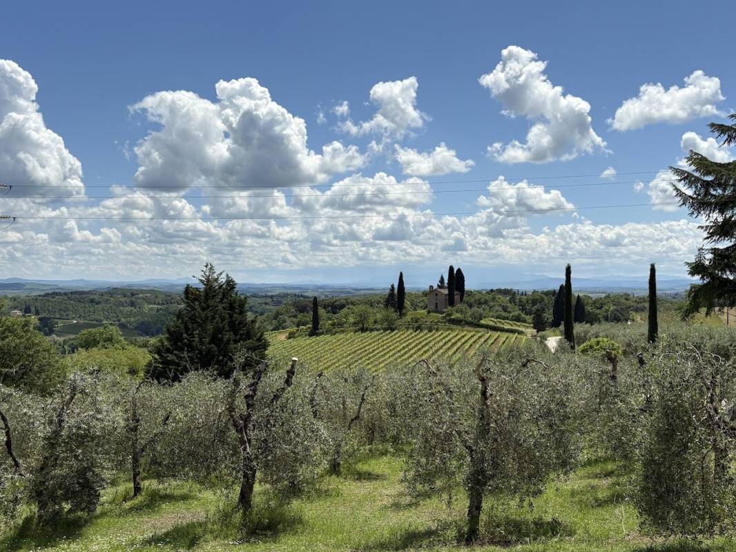 San Giorgio a Lapi — Vineri in siena
