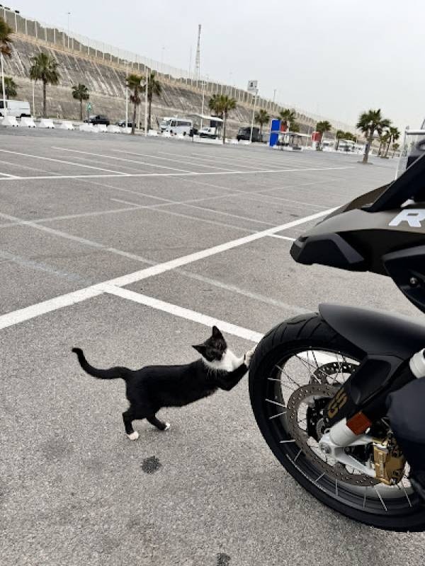 Tanger Port — Public Parking in Tanger