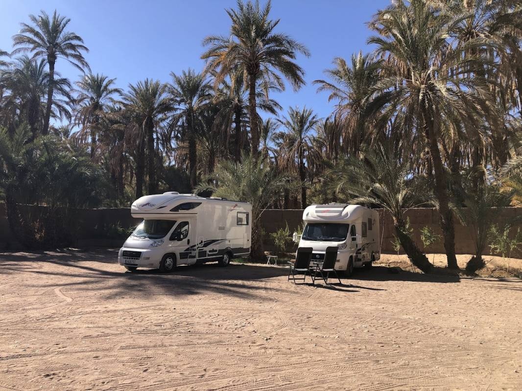 Camping Palmeraie d'Amezrou — Kemp in Zagora