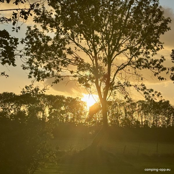 Camperplaats Ompert in Azewijn — Photo 3