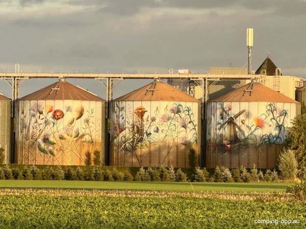 Camperplaats Ompert in Azewijn — Photo 4