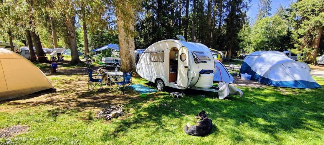 Camping Saignelégier — Kemp in Saignelégier