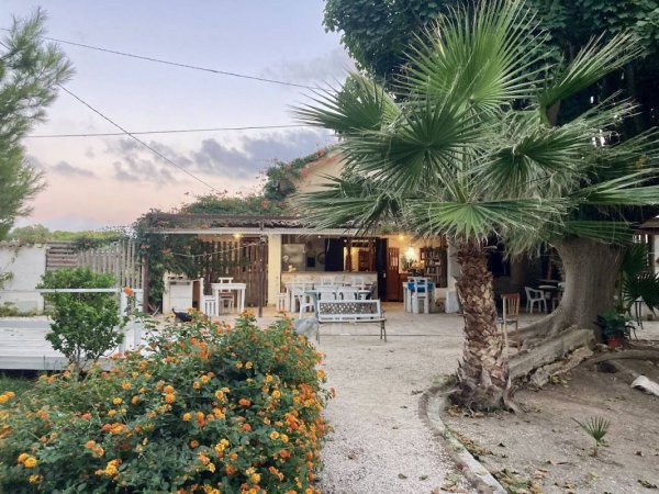 MammaColette — Photo 2