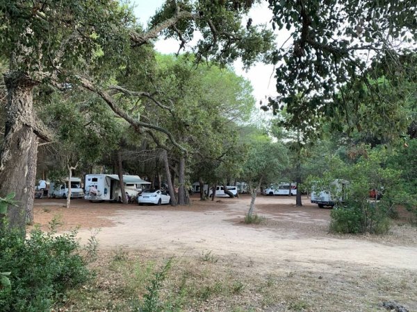 Parking i Pini — Photo 3