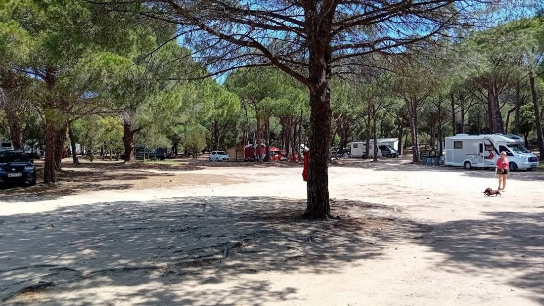 Parking i Pini — Sítio para autocaravanas in Porto-Vecchio