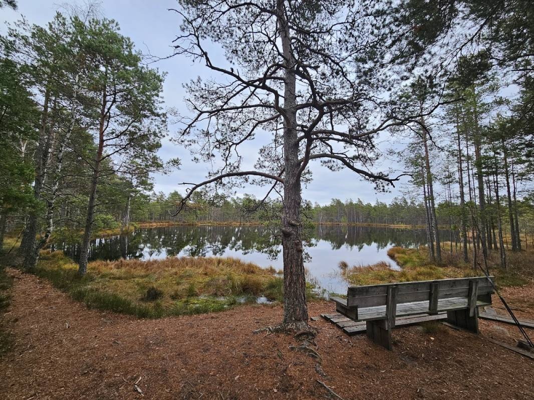 Komosse Naturreservat — Parcheggio pubblico in Grönahög