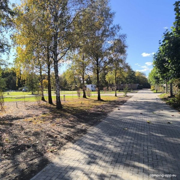 Caravanserei — Photo 5