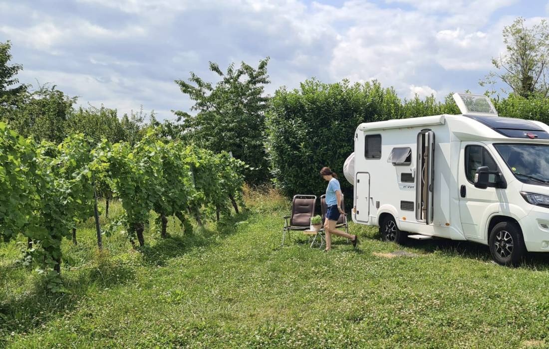 Weingut Edwin Baumann — Winery in Freiburg im Breisgau