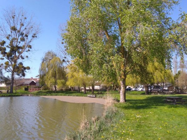 Stellplatz in Champigny-sur-Veude