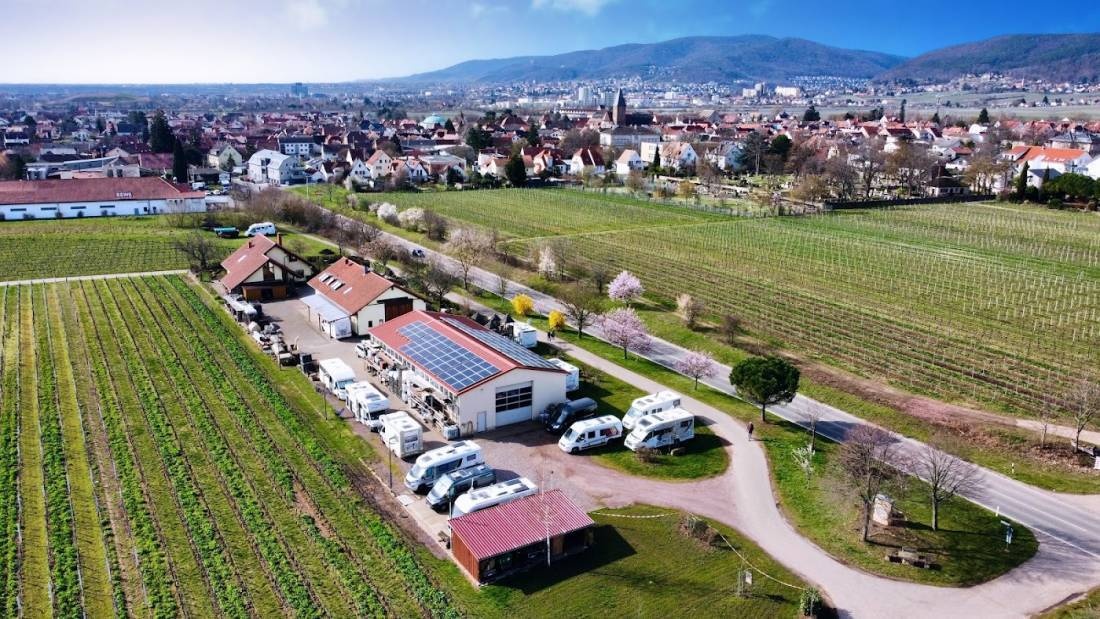 Weingut Klohr — Winery in Neustadt an der Weinstraße