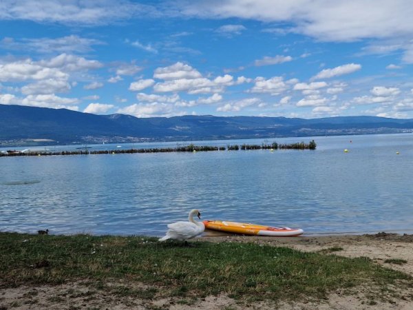 TCS Camping Estavayer La Nouvelle Plage *** — Photo 3