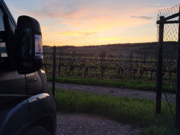 Stellplatz Weingut im Zwölberich — Foto 2