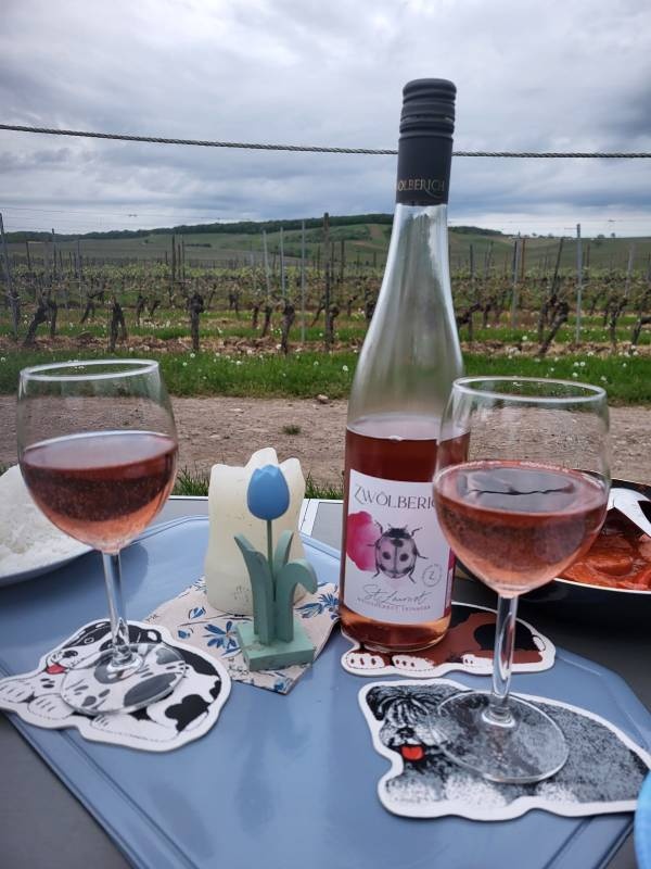 Stellplatz Weingut im Zwölberich — Vineri in Langenlonsheim