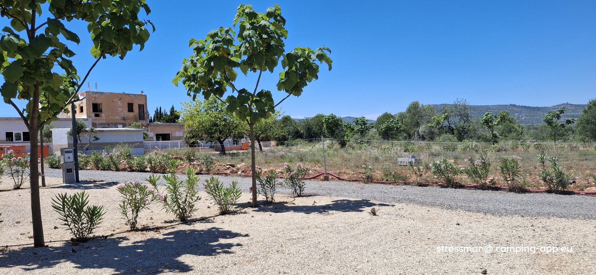 Camping Peñiscola — Photo 6