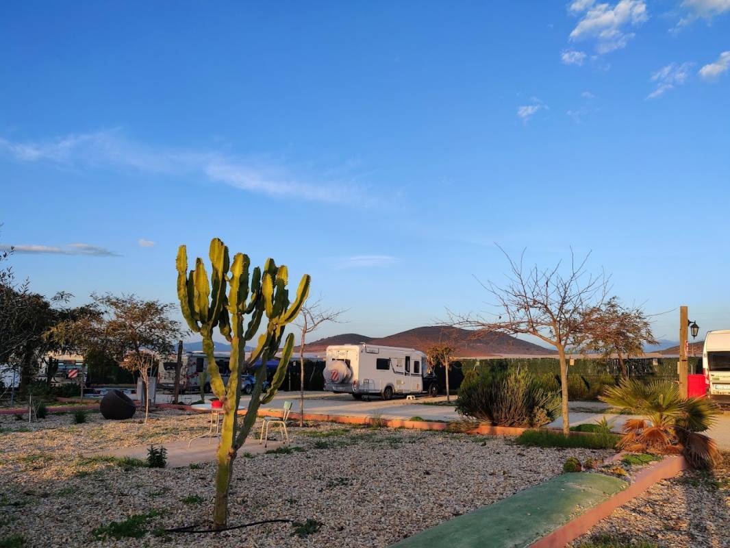 Camper Park Olivares — Area Autocaravanas in Albaricoques