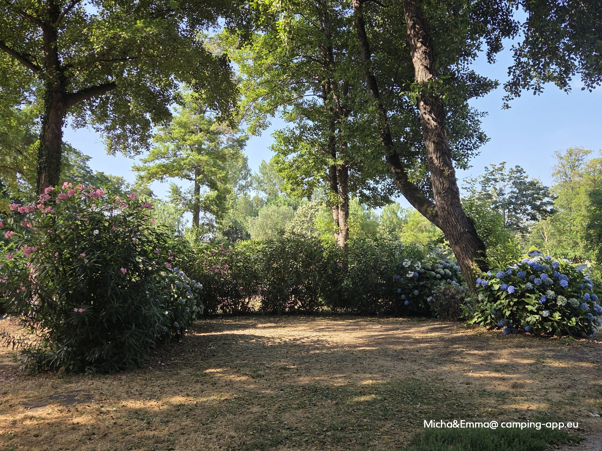 Camping le Sagone **** — Foto 2