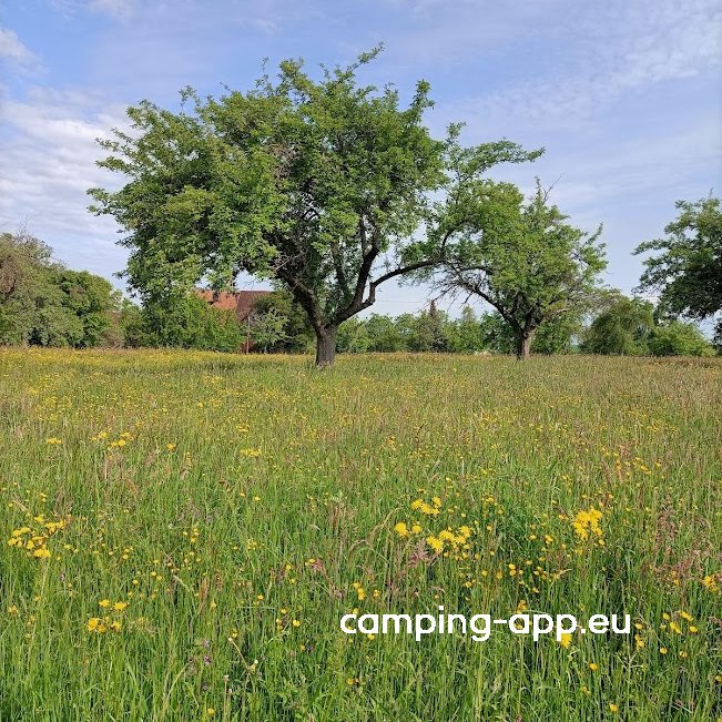 Stellplatz an der Pferdeweide — Foto 3