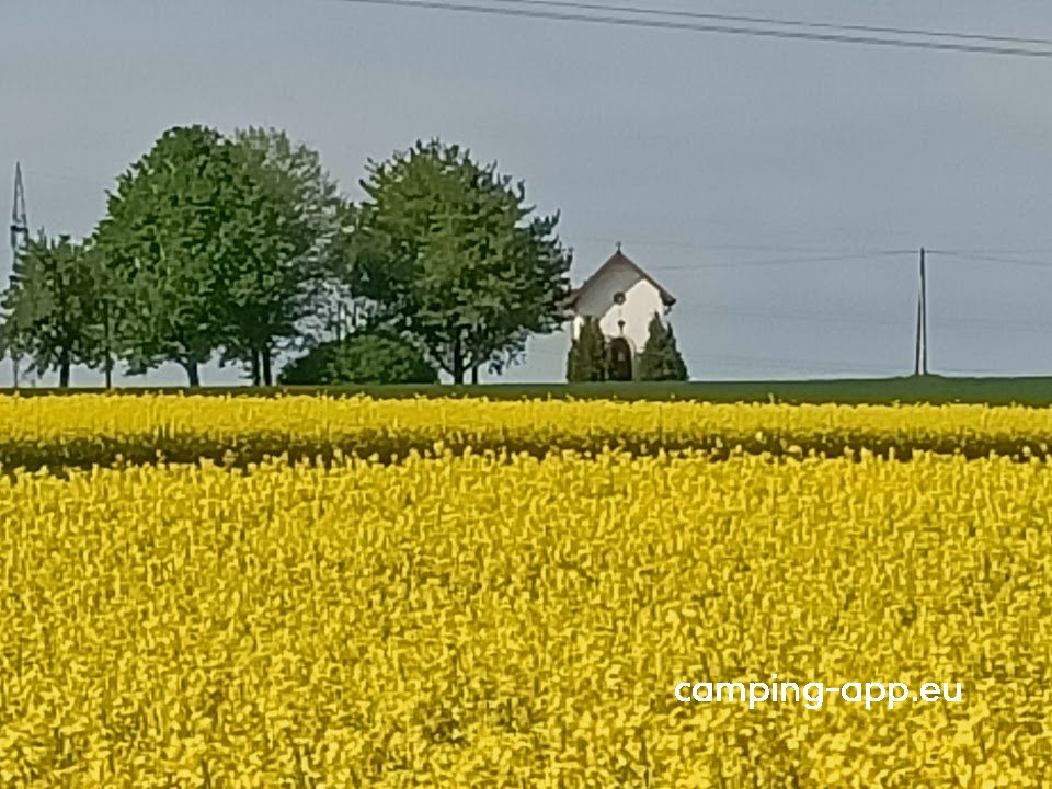 Stellplatz an der Pferdeweide — Foto 4