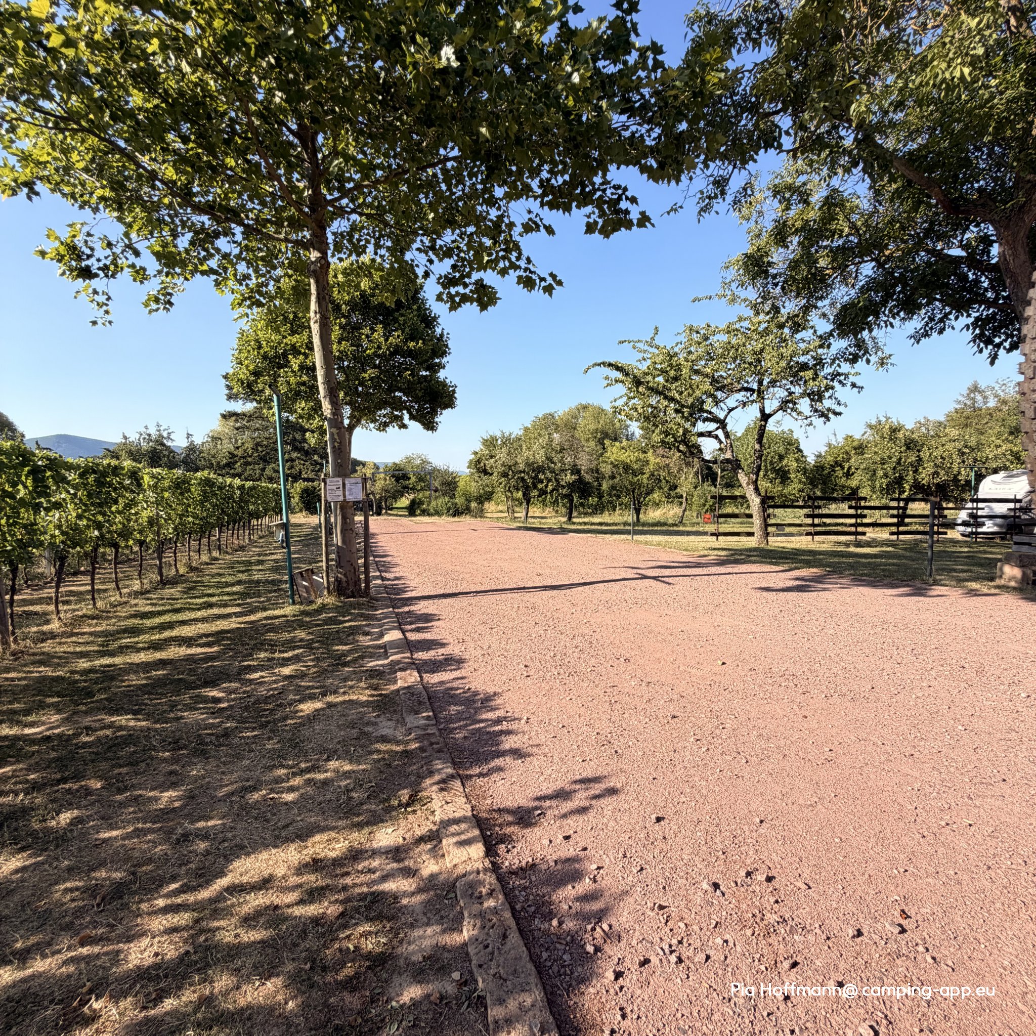 Stellplatz am Weingut Lorentz